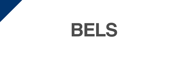 BELSに係る評価業務